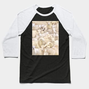 Sheeps Baseball T-Shirt